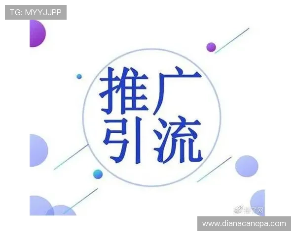 真人视讯国际站的推广策略与营销方案，助力平台快速扩大用户基础